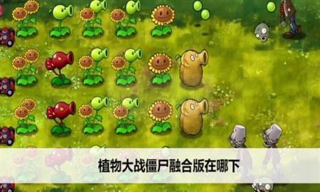 植物大战僵尸融合版在哪下 